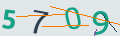 verifycode